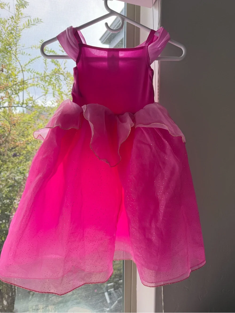 Disney Hot Pink Princess Dress with Gold Trim- Aurora